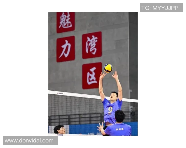 上海排球队意识排名创新高引领全国排球新风潮