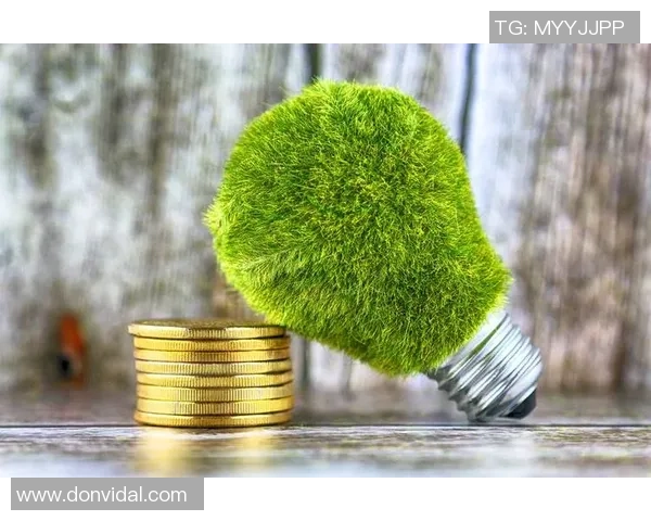 绿色11号足球明星引领环保运动助力可持续发展新潮流 绿色11号足球明星引领环保运动助力可持续发展新潮流