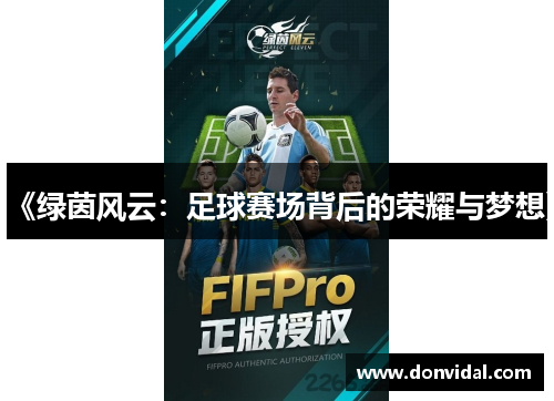 《绿茵风云：足球赛场背后的荣耀与梦想》