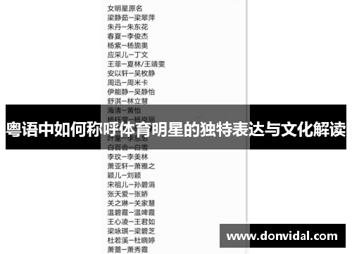 粤语中如何称呼体育明星的独特表达与文化解读