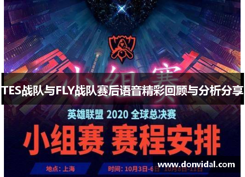 TES战队与FLY战队赛后语音精彩回顾与分析分享