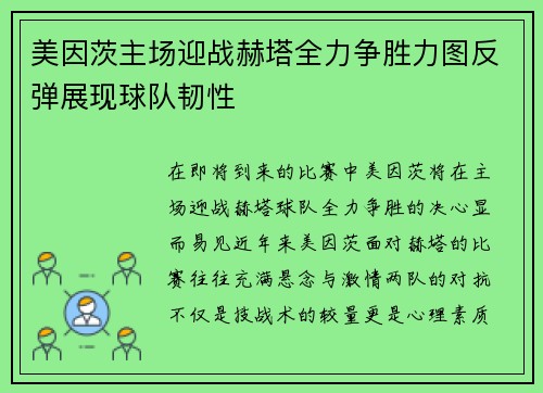 美因茨主场迎战赫塔全力争胜力图反弹展现球队韧性